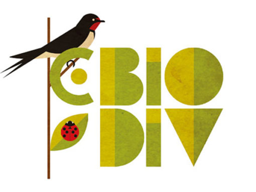 C.Biodiv : bilan intermédiaire du projet participatif pour recenser la faune et la flore de la métropole clermontoise !