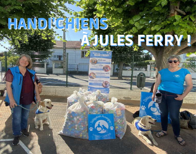 Handi’Chiens à Jules Ferry : Les élèves se mobilisent !